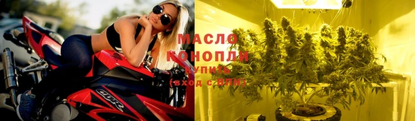 ГАЛЛЮЦИНОГЕННЫЕ ГРИБЫ Аркадак