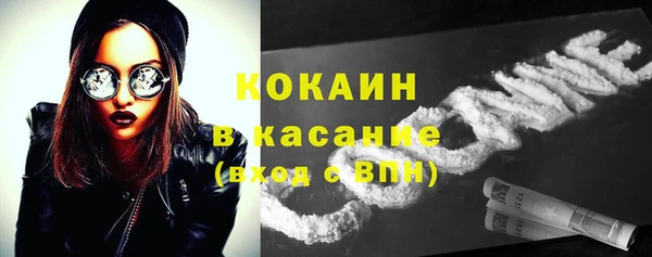 стафф Арсеньев