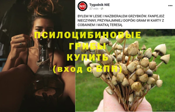 стафф Арсеньев